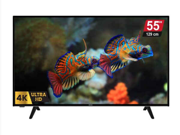 TV NEW STAR 55" SMART FULL HD + Récepteur intégré