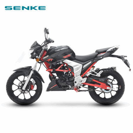 MOTOCYCLE SENKE RAPTOR SK-125CC – Image 2