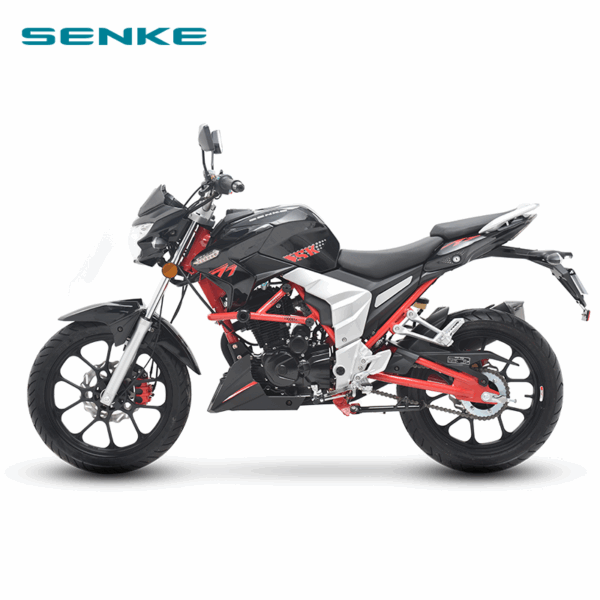 MOTOCYCLE SENKE RAPTOR SK-125CC – Image 2
