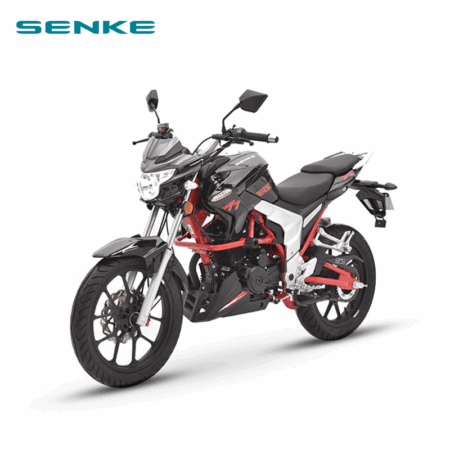 MOTOCYCLE SENKE RAPTOR