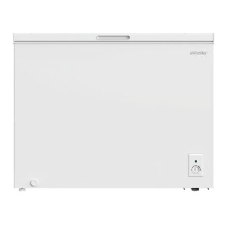 CONGÉLATEUR HORIZONTAL NEWSTAR 300L